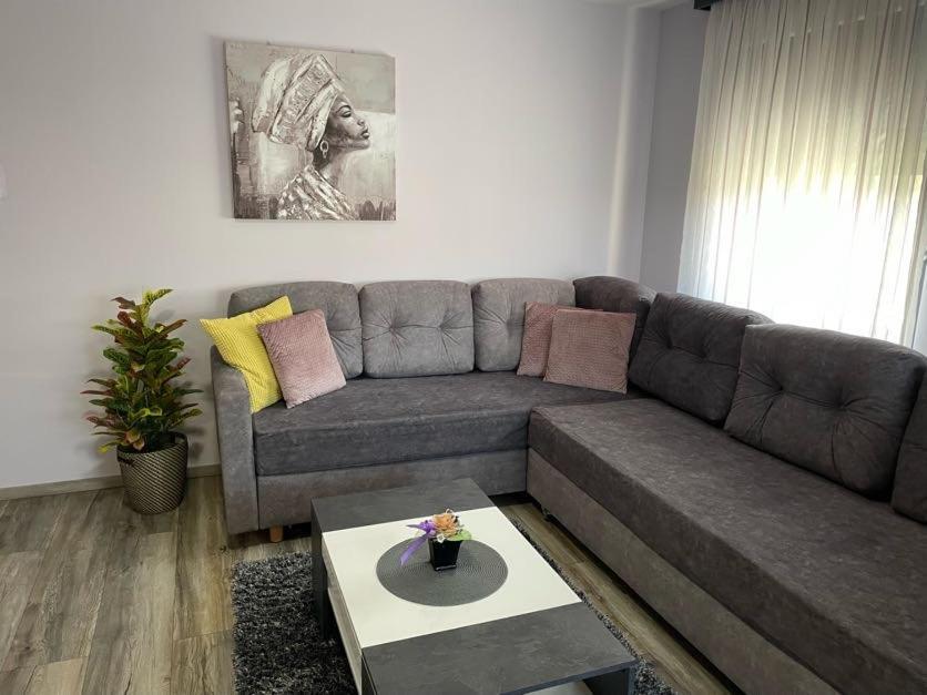 Apartments Dora Sveti Martin Na Muri Eksteriør billede